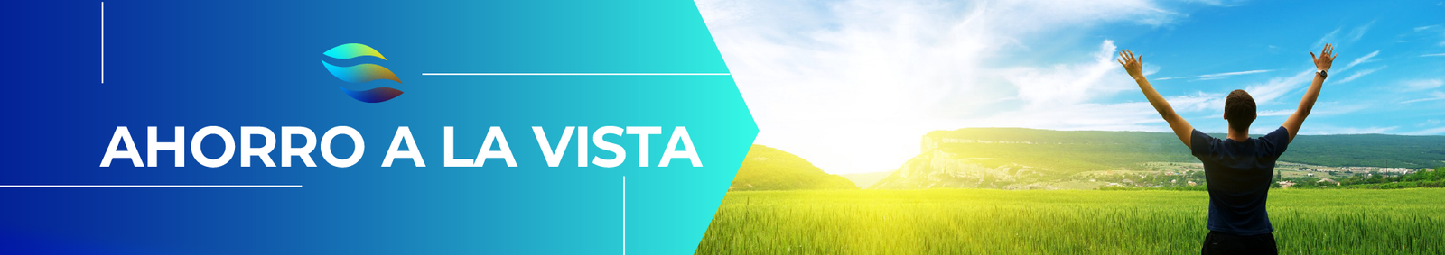 Ahorro a la Vista Banner